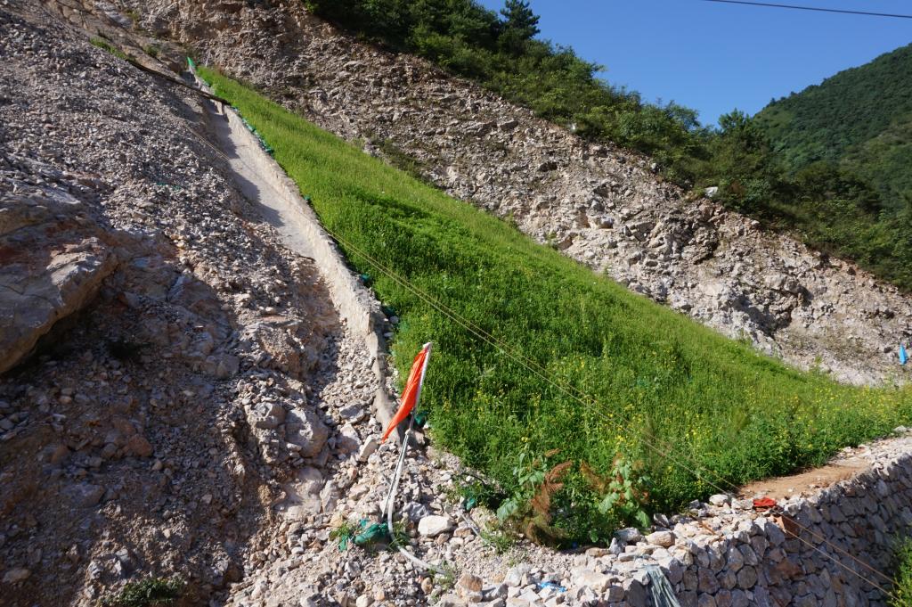 苜蓿河采石场矿山复绿成效初显-宝鸡西北有色七一七总队有限公司